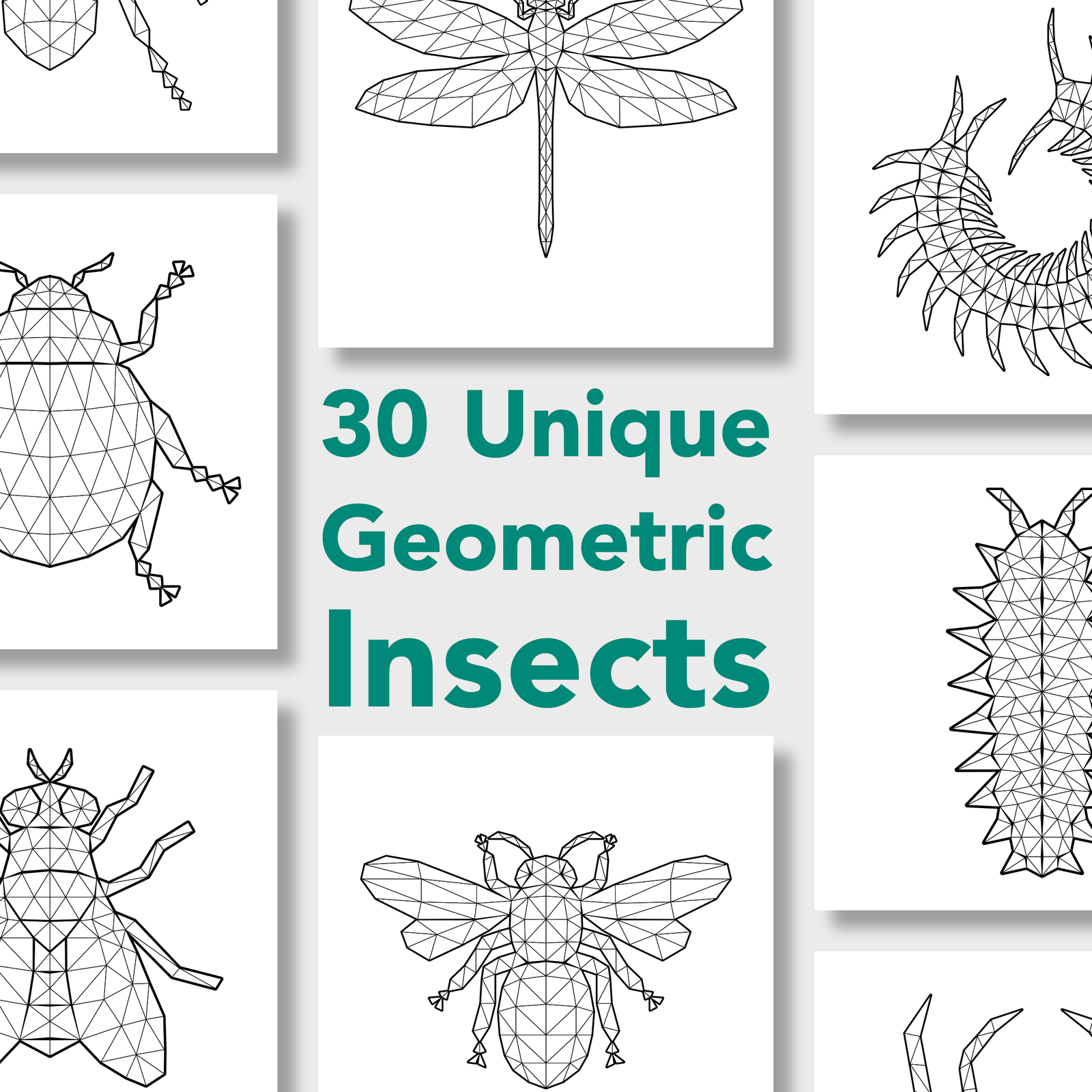 30 Designs