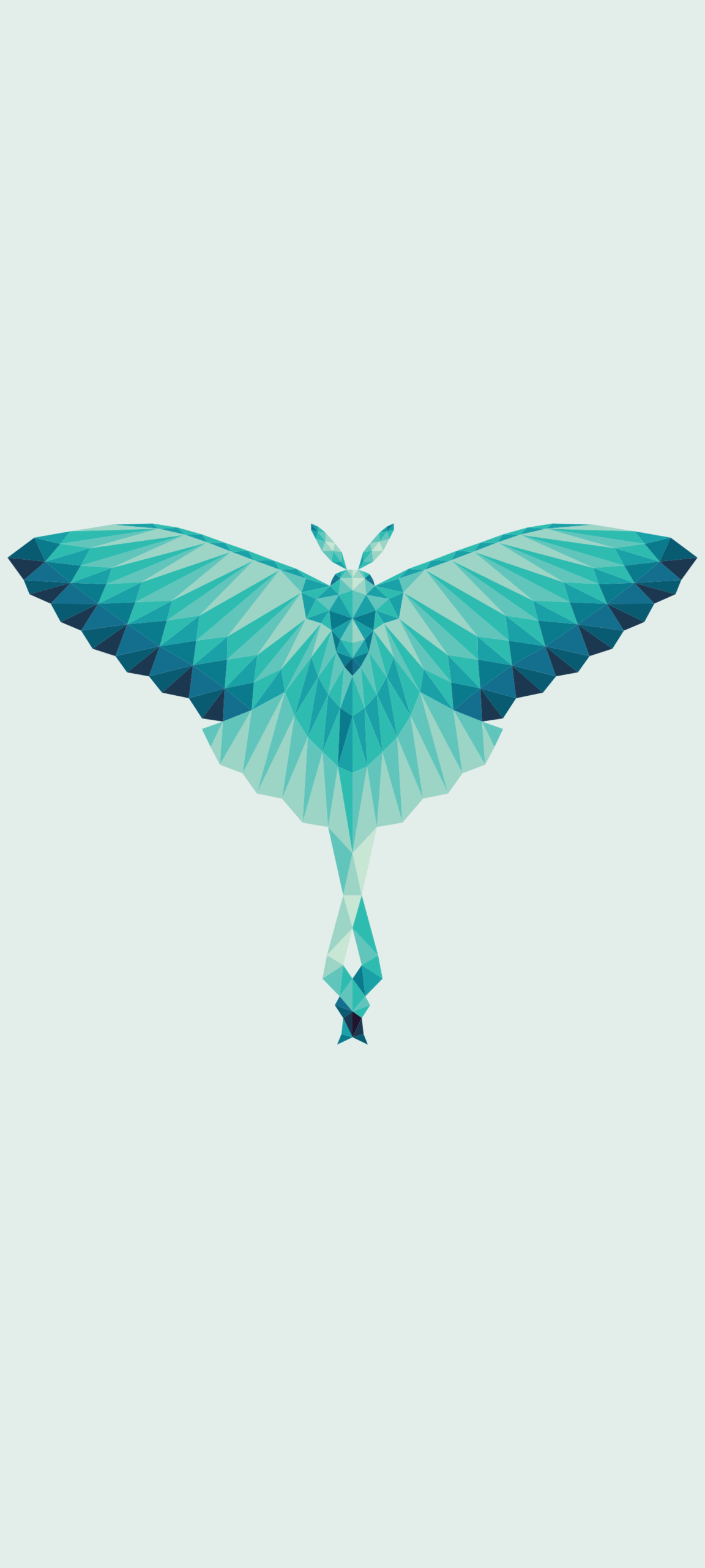 Delicate Wings_Moth_Morphora Art