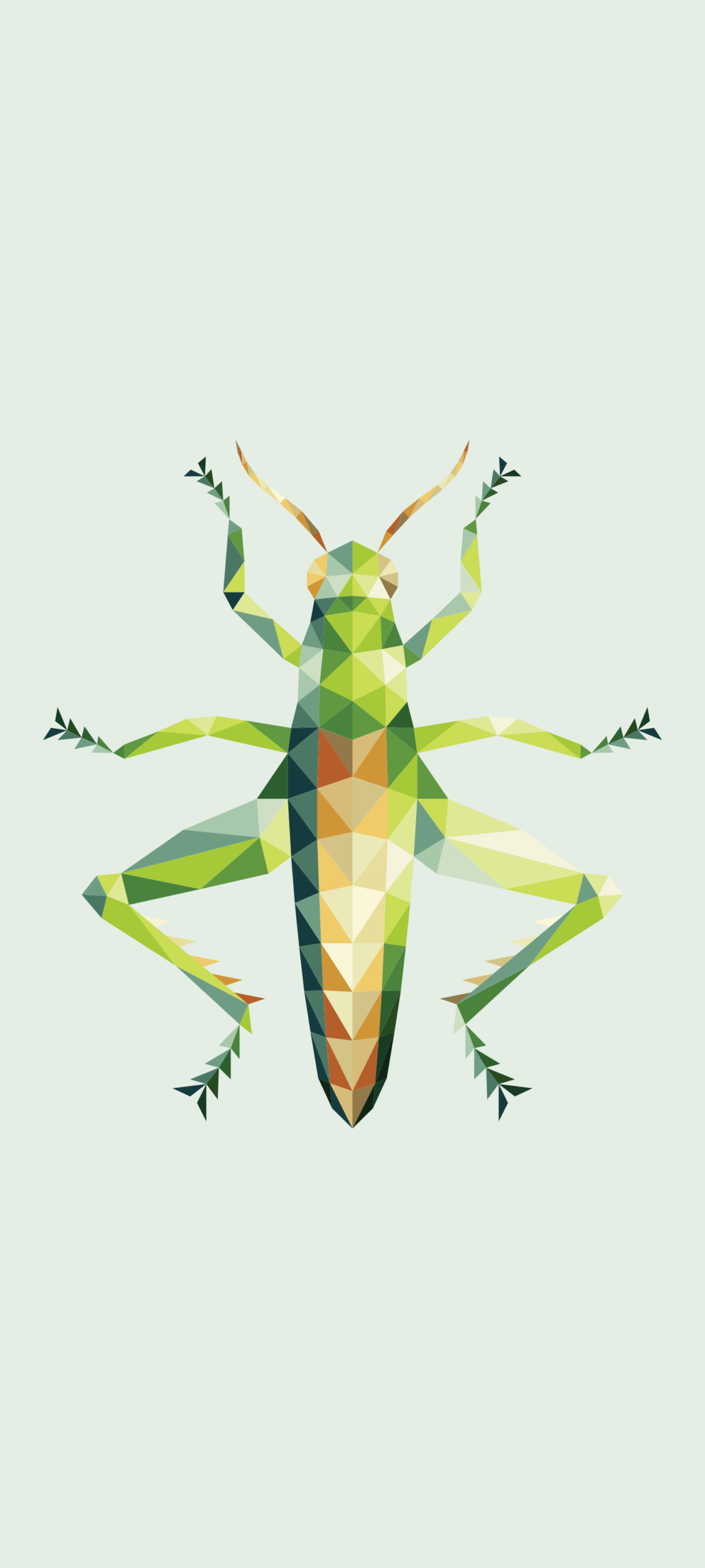 Masters of Camouflage_Grasshopper_Morphora Art