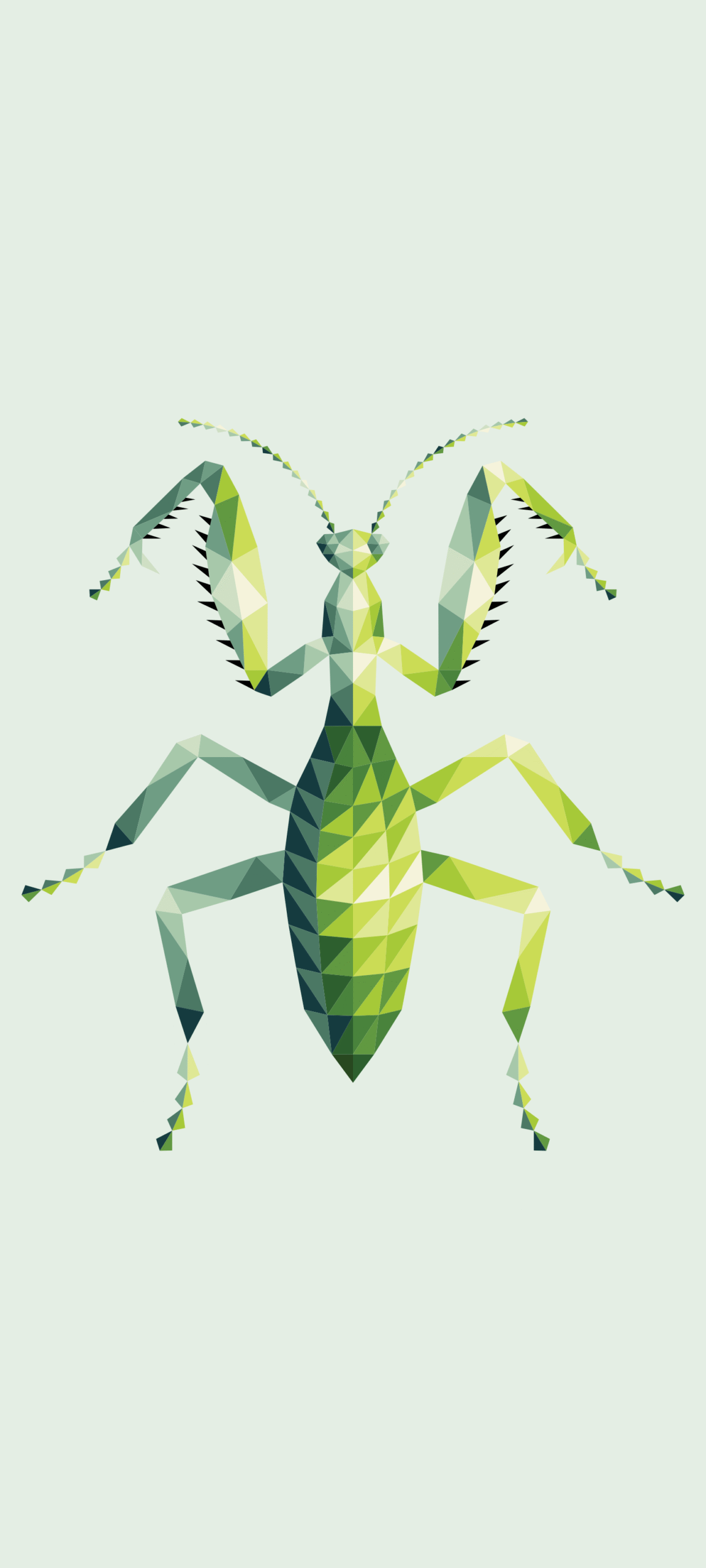 Masters of Camouflage_Mantis_Morphora Art