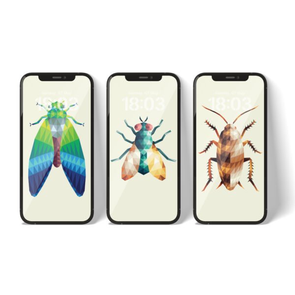 Wings of the Everyday Wallpapers