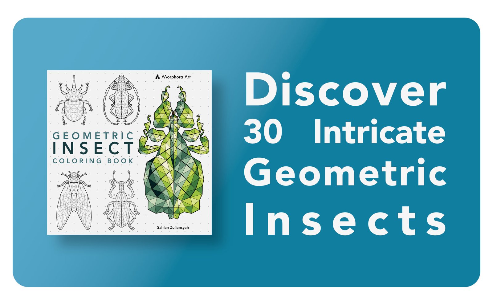 A+ content Geometric Insect Coloring Book 1
