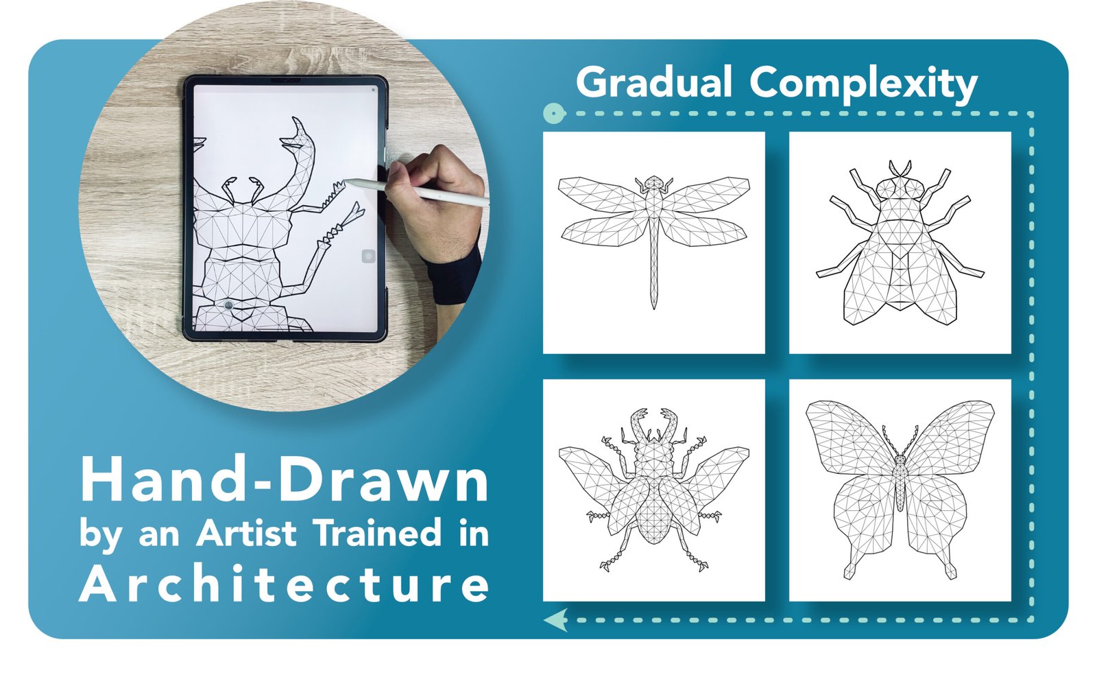 A+ content Geometric Insect Coloring Book 2
