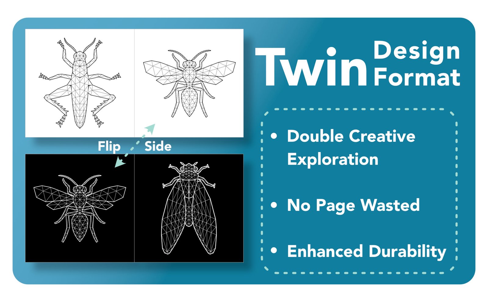 A+ content Geometric Insect Coloring Book 3