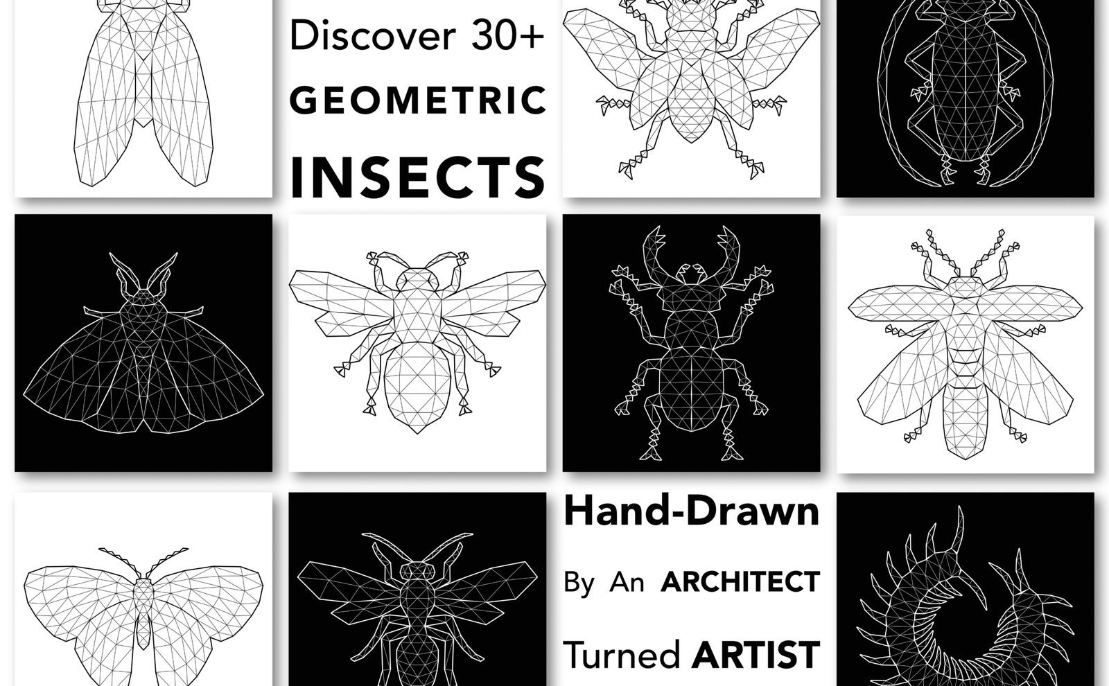 A+ Geometric Insect Page 1.2