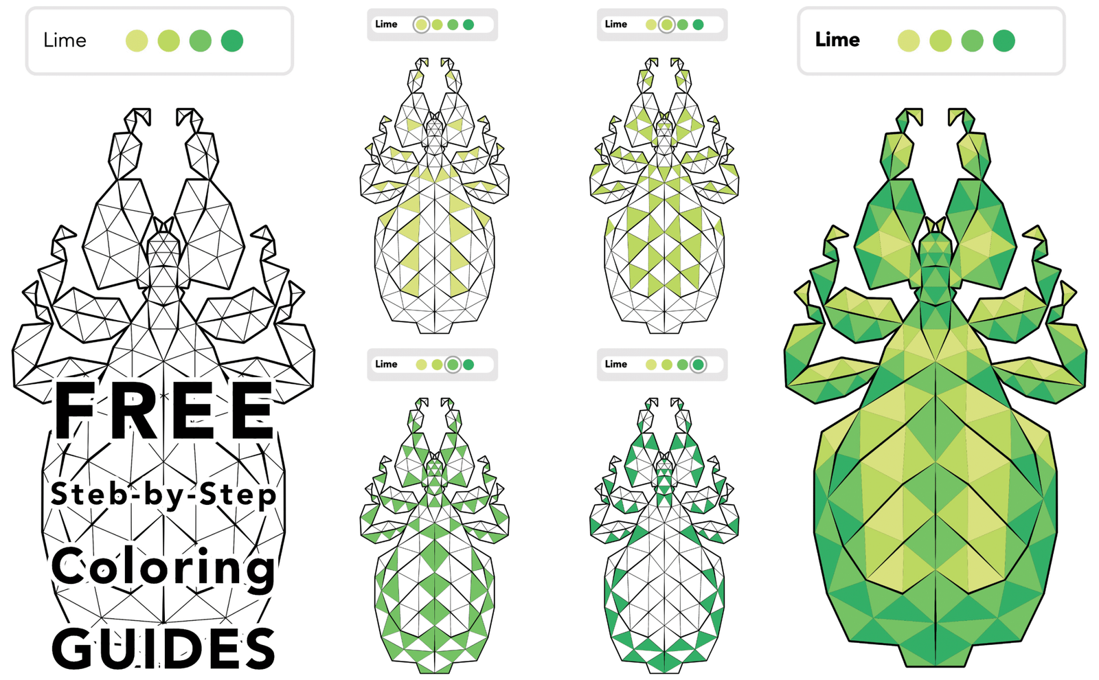 A+ Geometric Insect Page 3