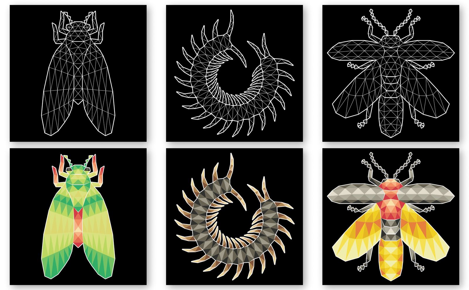 A+ Geometric Insect Page 5